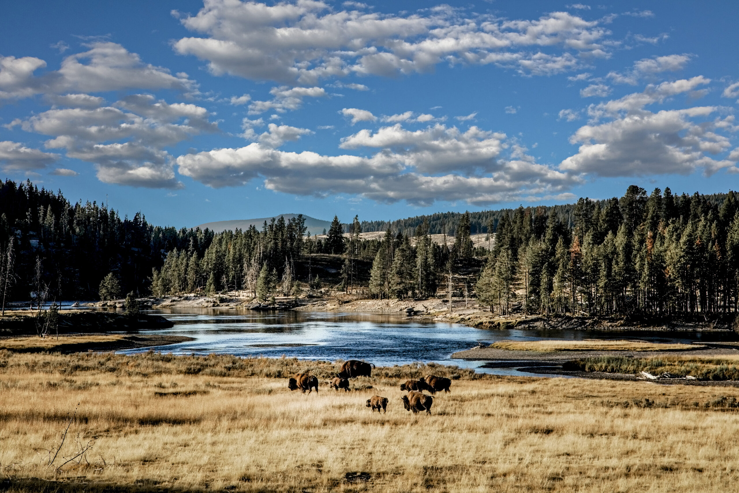Yellowstone By Carol M Highsmith Public Domain 2 Scaled 