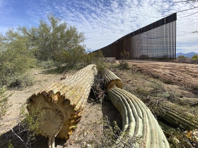 Quitobaquito_Springs02