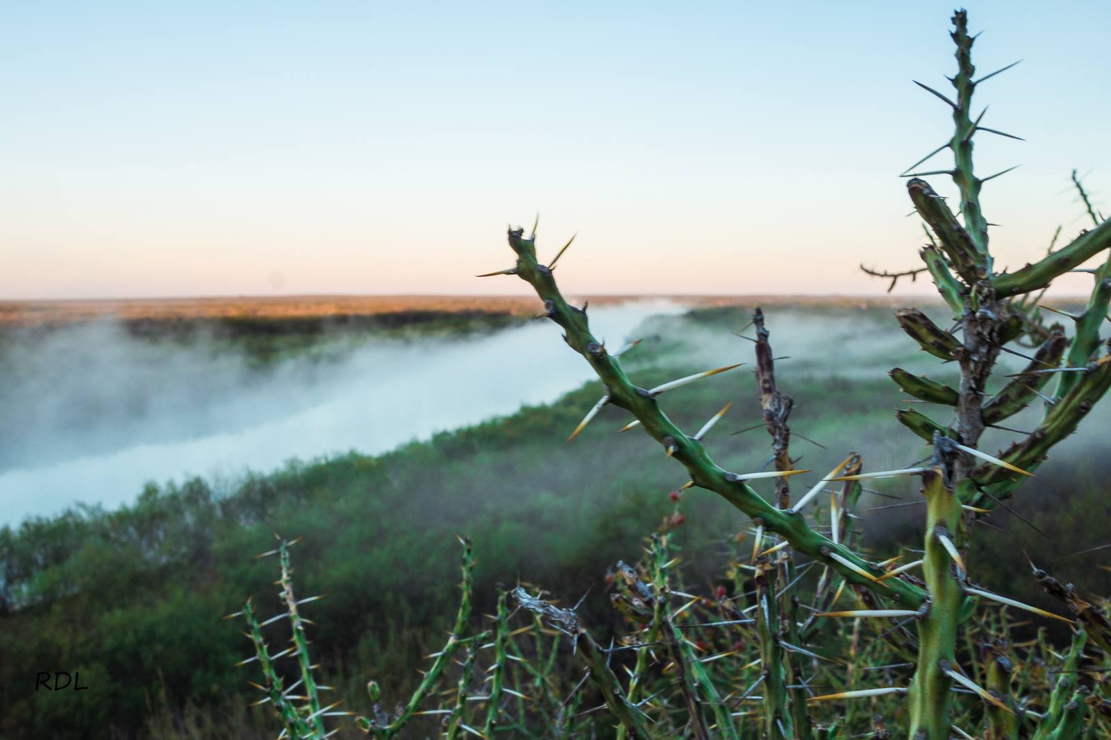 Rio_Grande08