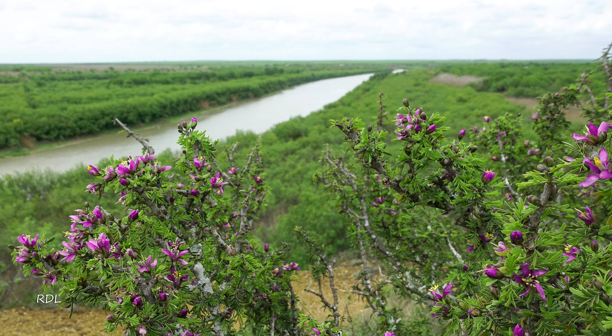 Rio_Grande09