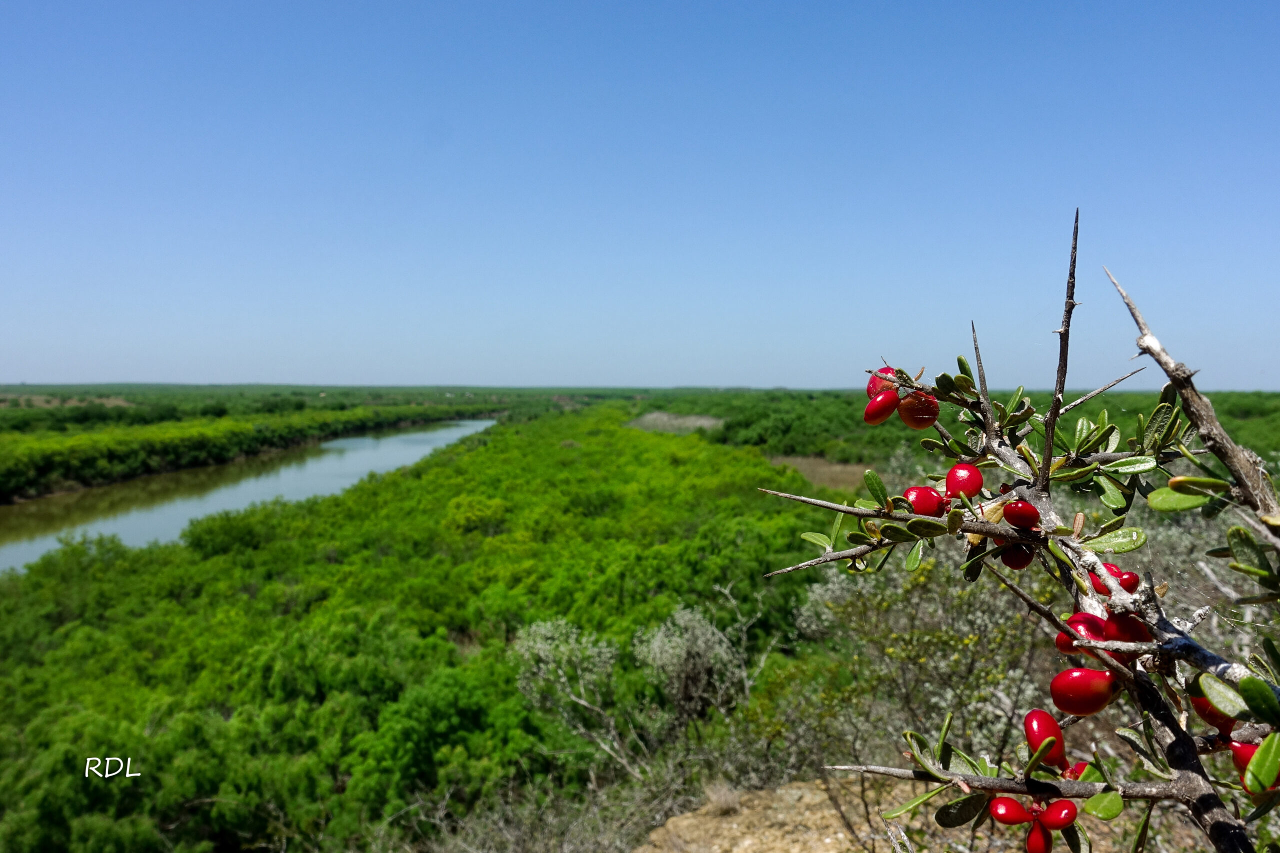 Rio_Grande10